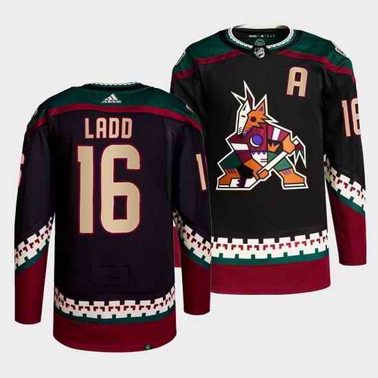 Men Arizona Coyotes #16 Andrew Ladd Black Stitched jersey->anaheim ducks->NHL Jersey